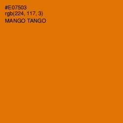 #E07503 - Mango Tango Color Image
